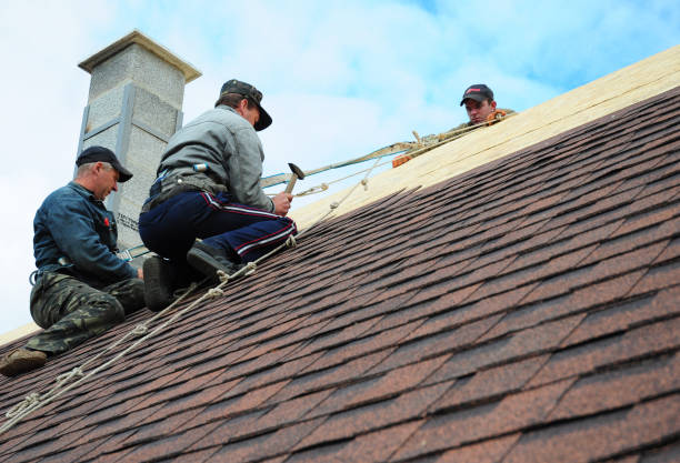 Best Gutter Installation and Roofing  in Ithaca, NY